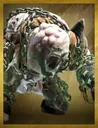 Card illustration