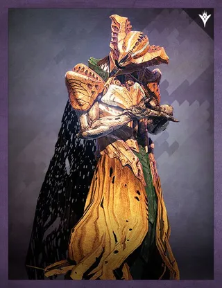 Card illustration