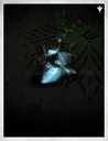 Card illustration