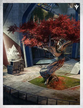 Card illustration