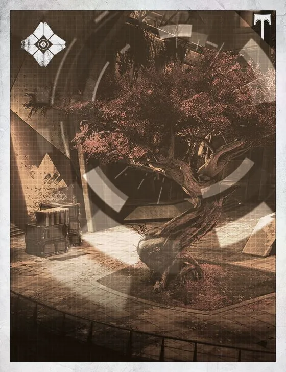 Card illustration
