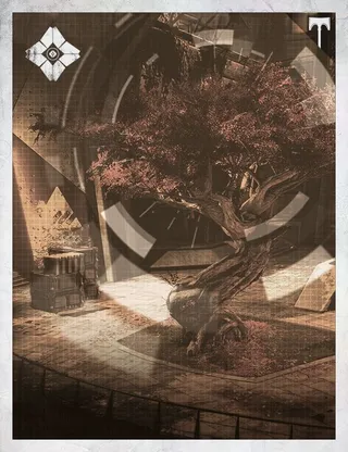 Card illustration